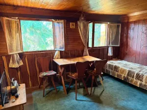 Prodej chaty, Borová, 53 m2