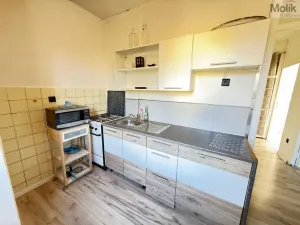 Pronájem bytu 2+1, Most, Jaroslava Vrchlického, 56 m2