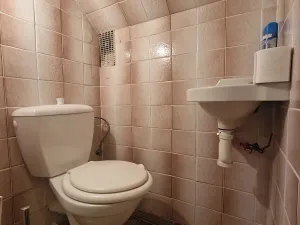 Prodej rodinného domu, Studenec, 219 m2