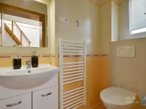Prodej bytu 1+kk, Ústí nad Labem, Masarykova, 26 m2