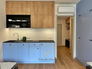 Pronájem bytu 1+kk, Olomouc, Edmunda Husserla, 29 m2