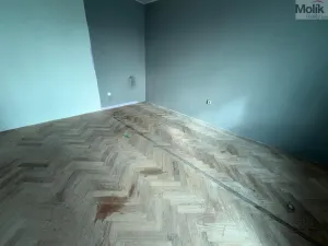 Prodej bytu 3+1, Litvínov - Horní Litvínov, U Zámeckého parku, 58 m2