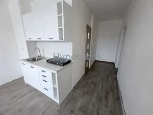 Prodej bytu 1+1, Ústí nad Labem - Neštěmice, Sibiřská, 42 m2