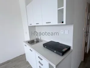 Prodej bytu 1+1, Ústí nad Labem - Neštěmice, Sibiřská, 42 m2