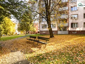 Prodej bytu 2+1, Cheb, Lesní, 60 m2