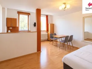 Prodej ubytování, Tehovec, K Mýtu, 308 m2