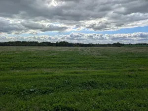 Prodej komerčního pozemku, Chýně, 3825 m2