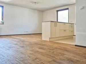 Pronájem bytu 3+kk, Praha - Dejvice, V Podbabě, 85 m2