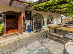 Prodej obchodního prostoru, Březí, Dunajovická, 630 m2