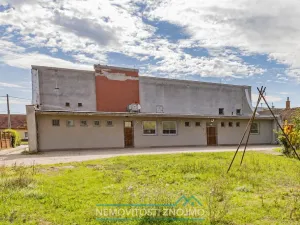 Prodej obchodního prostoru, Březí, Dunajovická, 630 m2