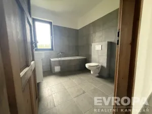 Prodej rodinného domu, Neveklov - Nebřich, 378 m2