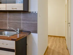 Pronájem bytu 2+1, Most, Zdeňka Fibicha, 57 m2