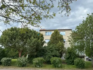 Prodej bytu 2+kk, Veselí nad Moravou - Zarazice, Zemědělská, 46 m2