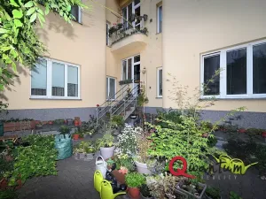 Pronájem bytu 2+kk, Praha - Žižkov, Lucemburská, 50 m2