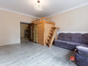 Prodej bytu 1+1, Ústí nad Labem - Ústí nad Labem-centrum, Koněvova, 48 m2