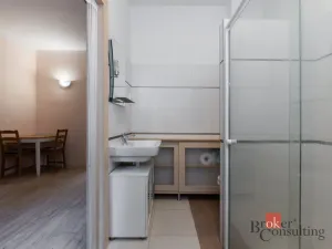 Prodej bytu 1+1, Ústí nad Labem - Ústí nad Labem-centrum, Koněvova, 48 m2