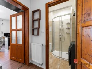 Prodej bytu 1+kk, Praha - Vinohrady, Na Folimance, 28 m2