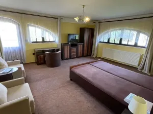 Pronájem vícegeneračního domu, Kynšperk nad Ohří, 600 m2