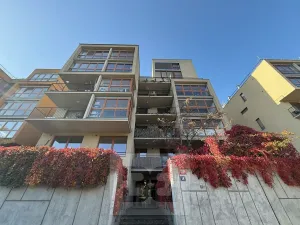 Pronájem bytu 2+kk, Praha - Holešovice, Varhulíkové, 63 m2
