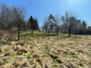 Prodej pozemku pro bydlení, Cheb, 2266 m2