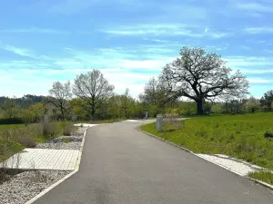 Prodej pozemku pro bydlení, Buš, 1243 m2