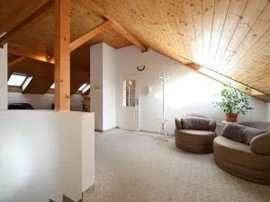 Pronájem bytu 4+kk, Praha - Žižkov, Milíčova, 100 m2