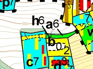 Dražba lesa, Nezdřev, 126 m2