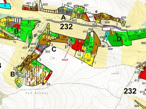Dražba lesa, Velké Meziříčí, 1312 m2