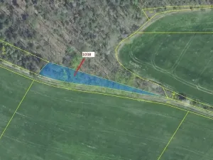 Dražba lesa, Nové Dvory, 953 m2
