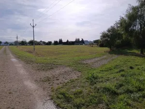 Dražba pozemku pro bydlení, Vrbice, 9030 m2