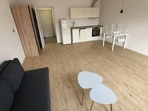 Pronájem bytu 1+kk, České Budějovice, Chelčického, 38 m2