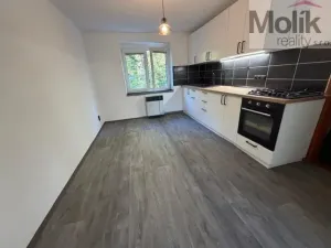 Pronájem bytu 2+1, Litvínov - Hamr, Hamerská, 54 m2
