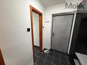 Pronájem bytu 2+1, Litvínov - Hamr, Hamerská, 54 m2