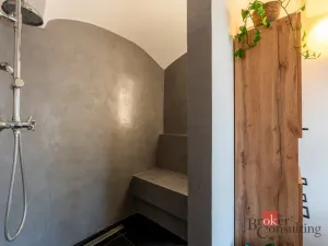 Prodej bytu 4+kk, Letovice, Zámek, 183 m2