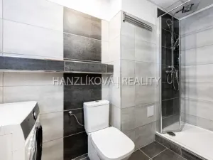 Pronájem bytu 3+1, České Budějovice - České Budějovice 3, Fráni Šrámka, 62 m2