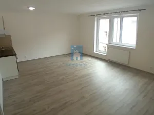 Pronájem bytu 1+kk, Plzeň, Rejskova, 45 m2