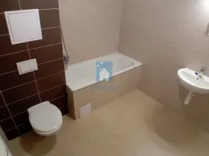 Pronájem bytu 1+kk, Plzeň, Rejskova, 45 m2