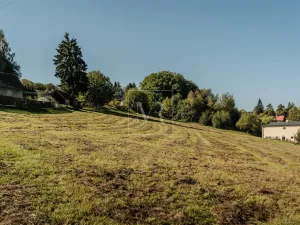 Prodej pozemku pro bydlení, Stříbrná Skalice, 4259 m2