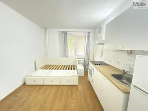 Pronájem bytu 1+kk, Most, Slovenského národního povstání, 22 m2
