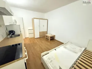 Pronájem bytu 1+kk, Most, Slovenského národního povstání, 22 m2