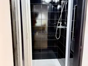 Pronájem bytu 1+kk, Praha, Mozartova, 94 m2