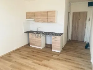 Pronájem bytu 1+kk, Ústí nad Labem - Severní Terasa, Větrná, 20 m2