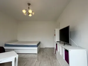 Pronájem bytu 1+1, Ostrava - Poruba, Polská, 30 m2