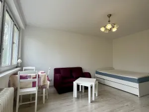 Pronájem bytu 1+1, Ostrava - Poruba, Polská, 30 m2