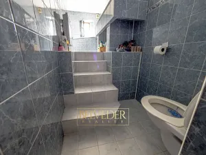 Prodej vícegeneračního domu, Teplice, Doubravská, 430 m2