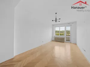 Prodej bytu 3+1, Děčín - Děčín XXXII-Boletice nad Labem, Přímá, 63 m2