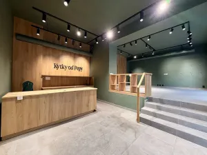 Pronájem obchodního prostoru, Plzeň, Americká, 140 m2