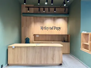 Pronájem obchodního prostoru, Plzeň, Americká, 140 m2