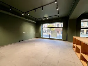 Pronájem obchodního prostoru, Plzeň, Americká, 140 m2
