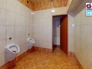 Pronájem obchodního prostoru, Plzeň, Americká, 140 m2